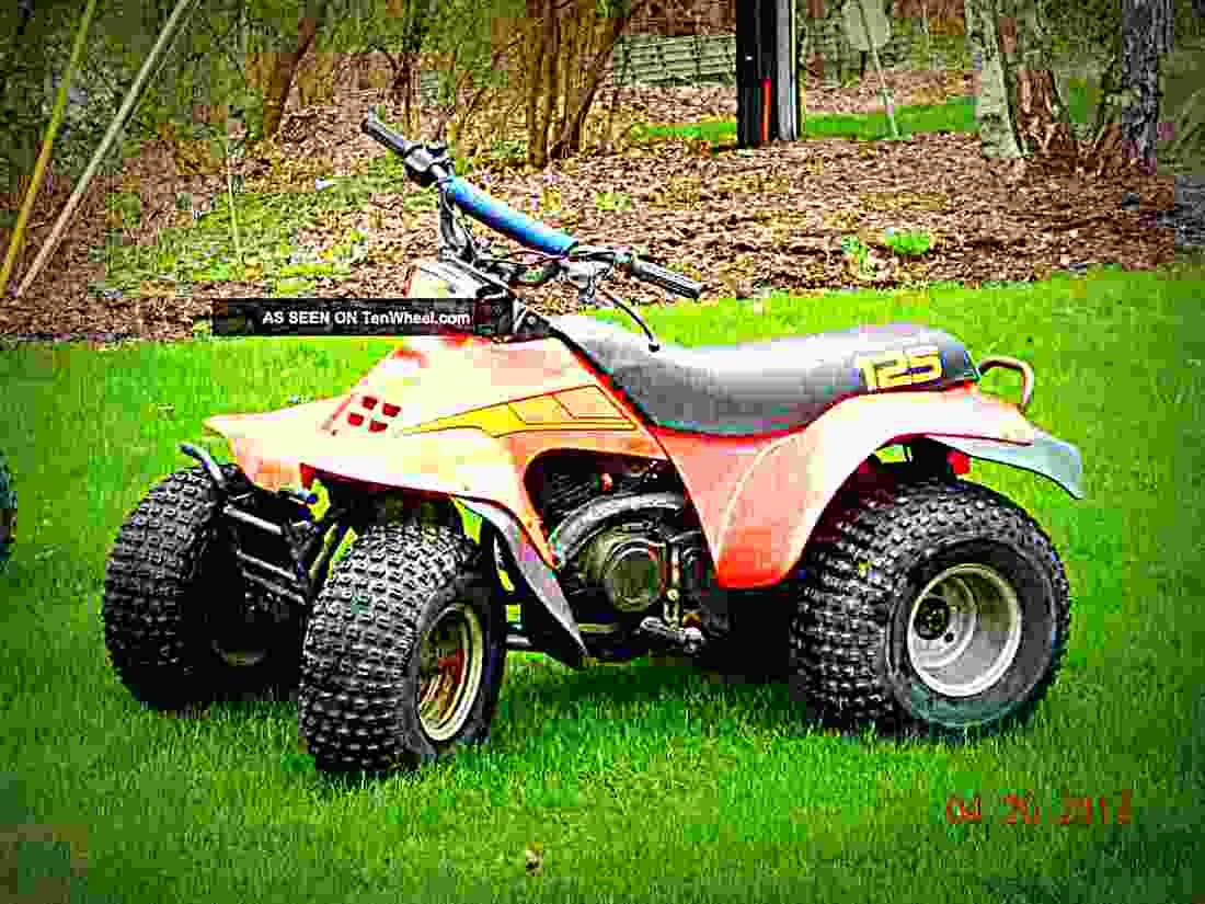 Suzuki Quadsport Z250 LTZ 5 motorbike A4 Photo Print