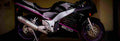 Suzuki RF 600 R 1993 1 825x284 motorbike A4 Photo Print