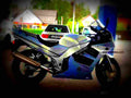 Suzuki RF 600 R 1993 2 motorbike A4 Photo Print