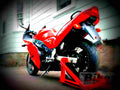 Suzuki RF 600 R 1996 4 motorbike A4 Photo Print