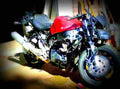 Suzuki RF 600 R 1996 5 motorbike A4 Photo Print