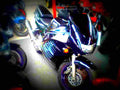 Suzuki RF 900 R 1994 4 motorbike A4 Photo Print