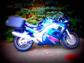 Suzuki RF 900 R 1996 4 motorbike A4 Photo Print