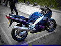 Suzuki RF 900 R 1996 6 motorbike A4 Photo Print