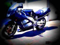 Suzuki RF 900 R 1997 5 motorbike A4 Photo Print