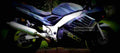 Suzuki RF 900 R 1999 1 640x284 motorbike A4 Photo Print