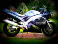 Suzuki RF 900 R 1999 1 motorbike A4 Photo Print
