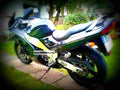 Suzuki RF 900 R 1999 3 motorbike A4 Photo Print