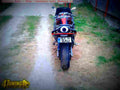 Suzuki RF 900 RS 1995 4 motorbike A4 Photo Print