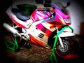 Suzuki RF 900 RS2 1995 2 motorbike A4 Photo Print