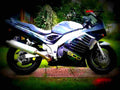Suzuki RF 900 RS2 1996 6 motorbike A4 Photo Print