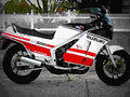 Suzuki RG 500 Gamma 1985 6 motorbike A4 Photo Print