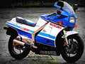 Suzuki RG 500 Gamma 1987 2 motorbike A4 Photo Print