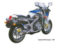 Suzuki RG500 Gamma 1985 motorbike A4 Photo Print