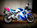 Suzuki RGV 250 Gamma 1992 5 motorbike A4 Photo Print