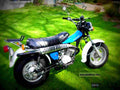 Suzuki RV 125 1981 1 motorbike A4 Photo Print