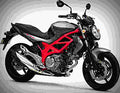 Suzuki SFV650 2017 1 motorbike A4 Photo Print