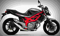 Suzuki SFV650 2017 2 motorbike A4 Photo Print