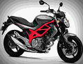 Suzuki SFV650 SFV650 Gladius 3 motorbike A4 Photo Print