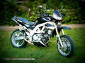 Suzuki SV 650 Sport 2000 1 motorbike A4 Photo Print