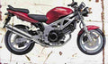 Suzuki SV650 2002 Aged Vintage A4 Photo Print