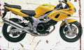 Suzuki SV650S 2001 Aged Vintage A4 Photo Print