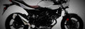 Suzuki SV650X 2019 1 825x284 motorbike A4 Photo Print