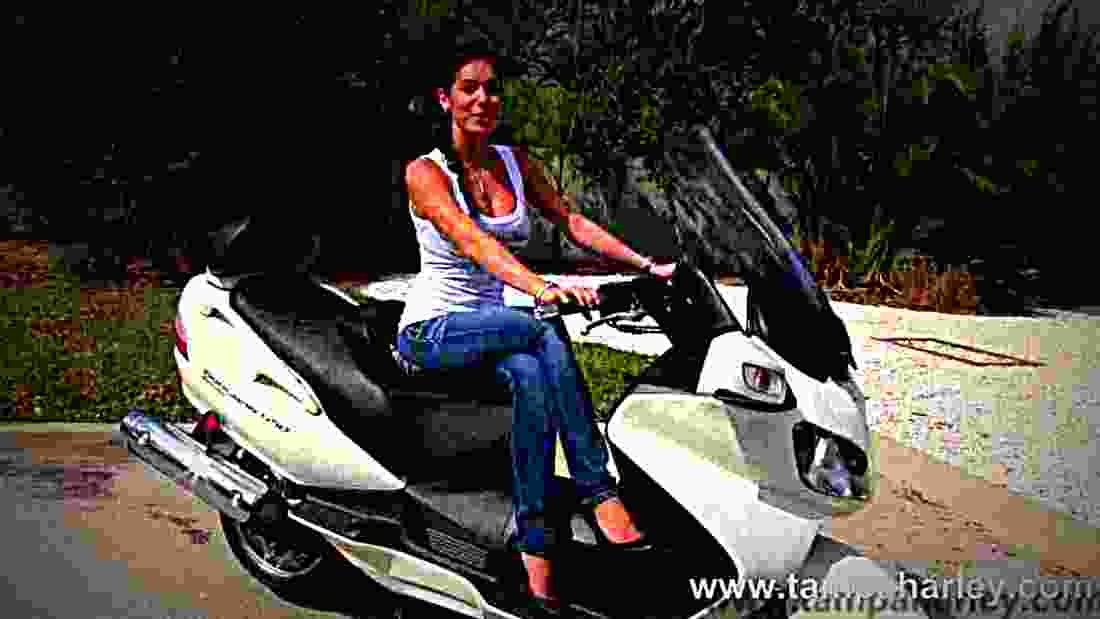 Suzuki SkyWave 650 SkyWave 650 1 motorbike A4 Photo Print
