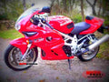 Suzuki TL 1000 S 1998 3 motorbike A4 Photo Print