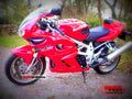 Suzuki TL 1000 S 1998 6 motorbike A4 Photo Print