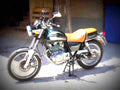 Suzuki TU 250 X 1998 4 motorbike A4 Photo Print
