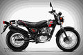 Suzuki TU250X 2018 3 motorbike A4 Photo Print