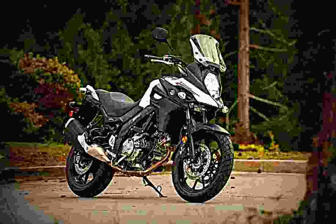 Suzuki V Strom 650 ABS Adventure 2017 2 motorbike A4 Photo Print