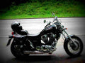 Suzuki VS 800 GL Intruder 2002 6 motorbike A4 Photo Print