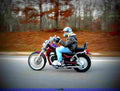 Suzuki VS 800 Intruder 1999 6 motorbike A4 Photo Print