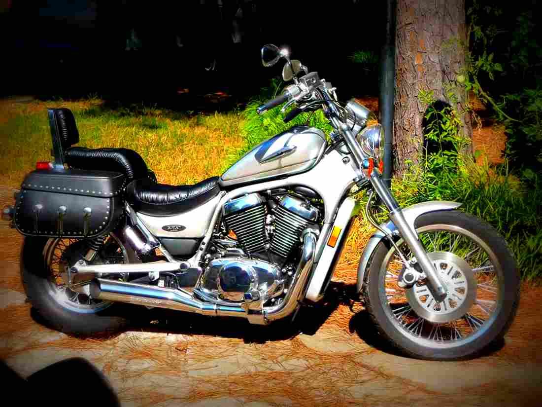 Suzuki VS 800 Intruder 2003 2 motorbike A4 Photo Print