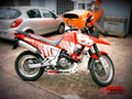 Suzuki VX 800 (reduced effect) 1991 4 motorbike A4 Photo Print