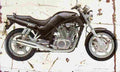 Suzuki VX800 1990 Aged Vintage A4 Photo Print