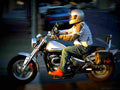 Suzuki VZ 800 Marauder 2003 6 motorbike A4 Photo Print
