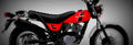 Suzuki VanVan 125 2018 1 825x284 motorbike A4 Photo Print