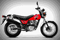 Suzuki VanVan 200 2018 1 motorbike A4 Photo Print