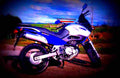 Suzuki XF 650 Freewind 1997 1 motorbike A4 Photo Print