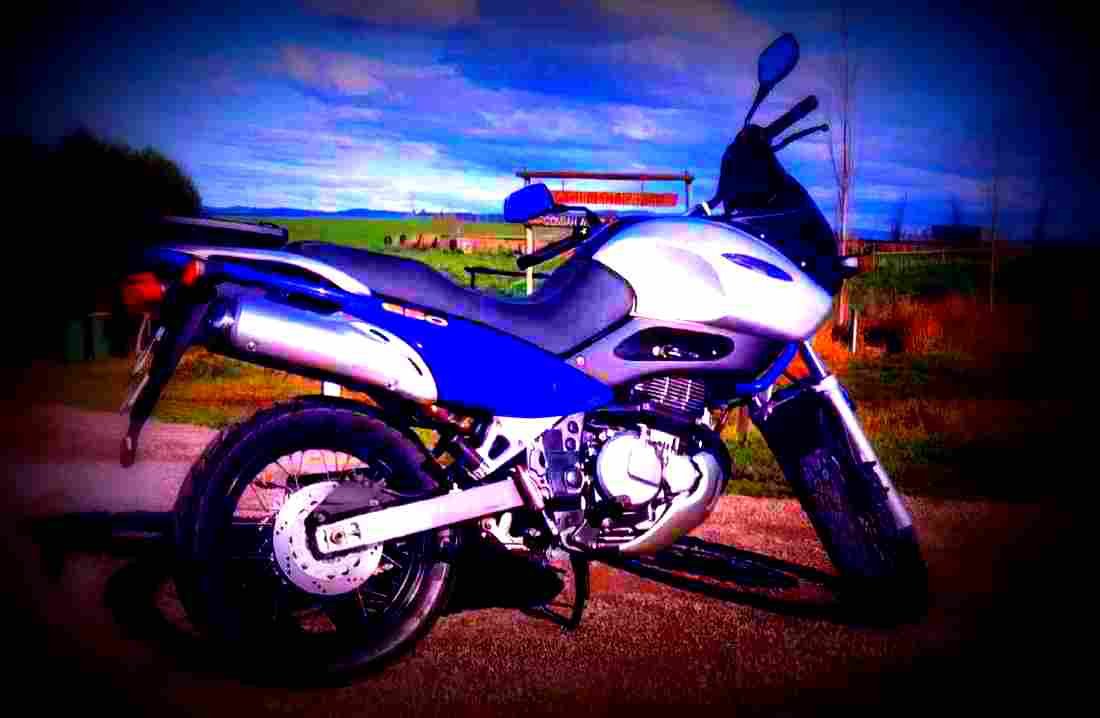 Suzuki XF 650 Freewind 1997 1 motorbike A4 Photo Print