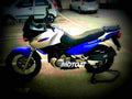 Suzuki XF 650 Freewind 1997 4 motorbike A4 Photo Print