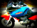 Suzuki XF 650 Freewind 1997 6 motorbike A4 Photo Print