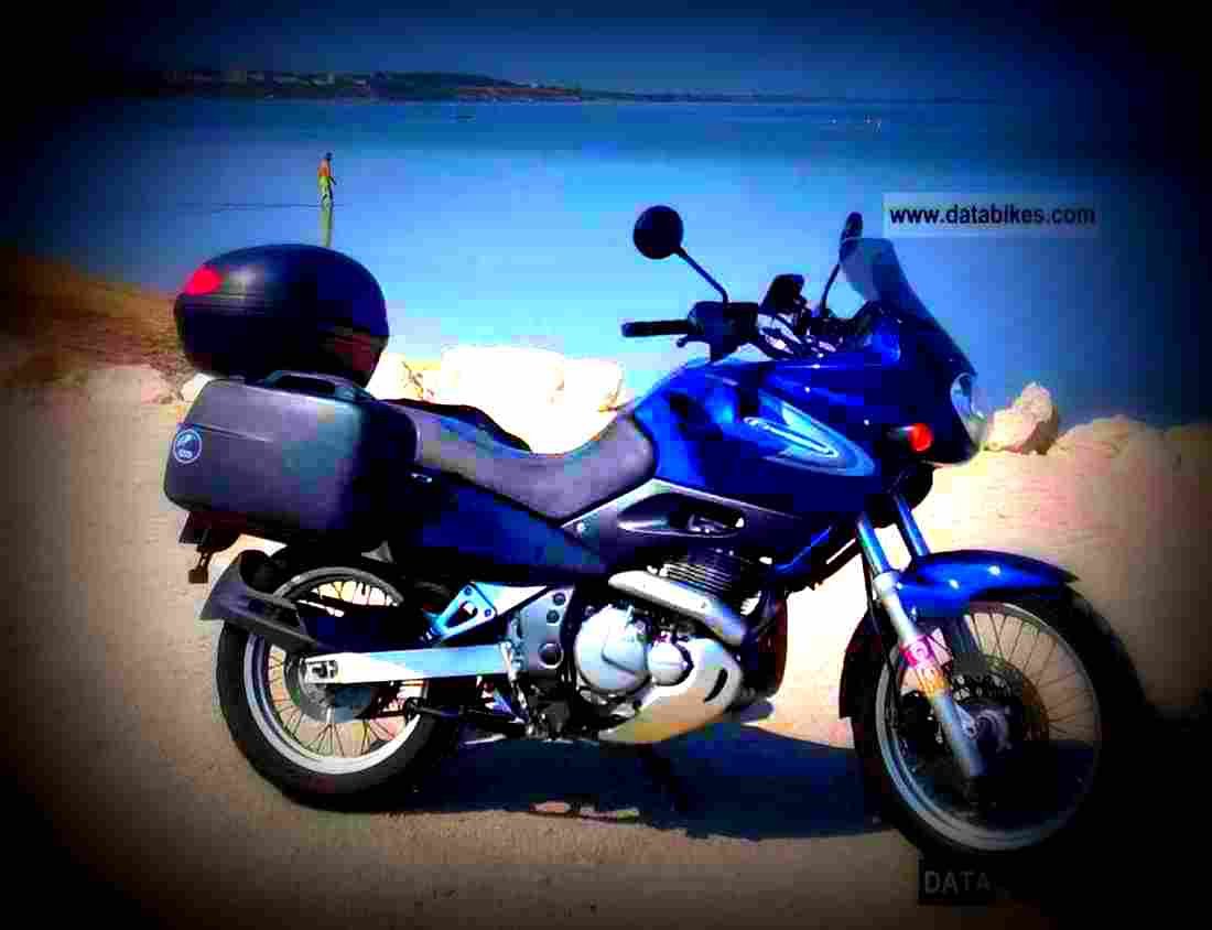 Suzuki XF 650 Freewind 1998 2 motorbike A4 Photo Print