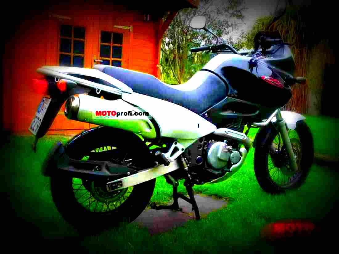 Suzuki XF 650 Freewind 1998 3 motorbike A4 Photo Print