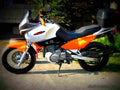 Suzuki XF 650 Freewind 1998 4 motorbike A4 Photo Print