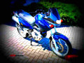 Suzuki XF 650 Freewind 1999 1 motorbike A4 Photo Print
