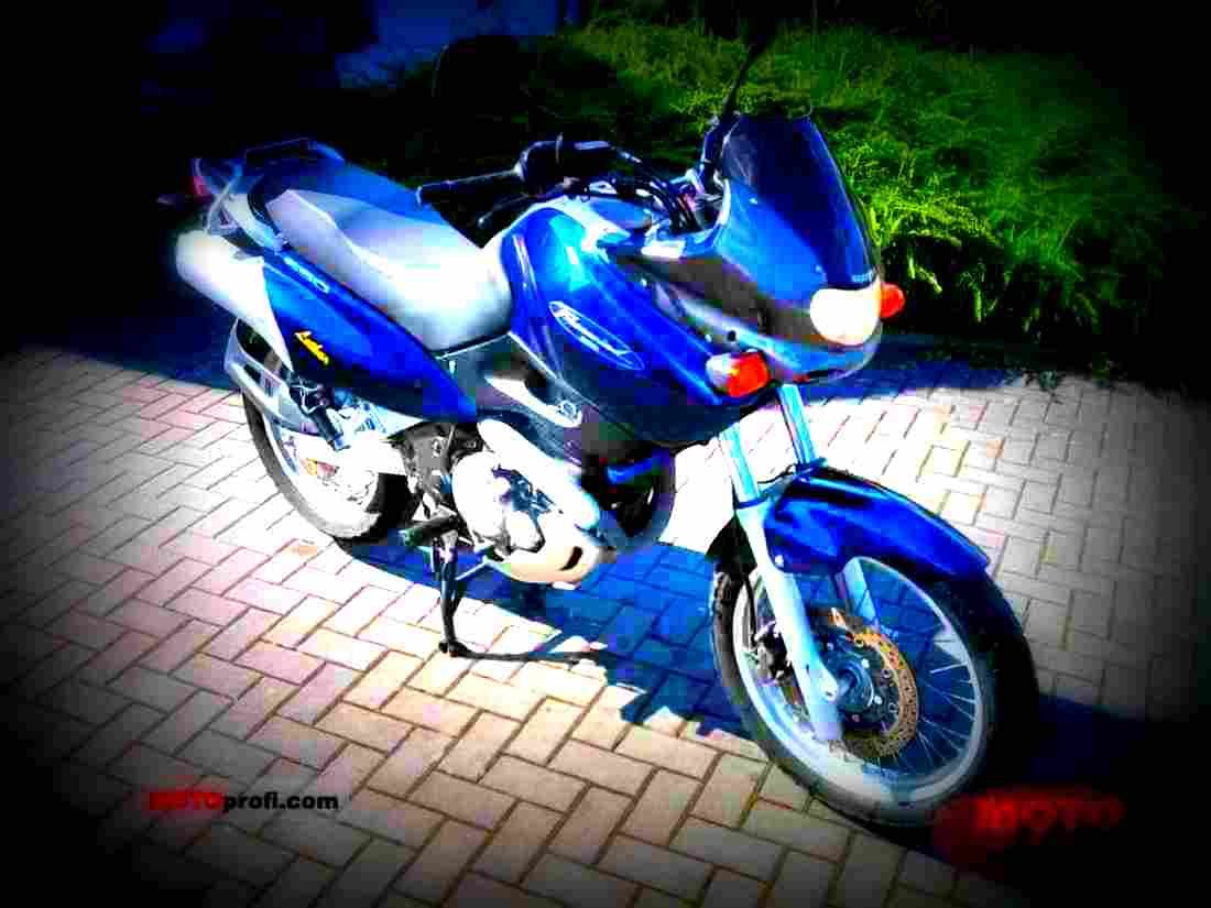 Suzuki XF 650 Freewind 1999 1 motorbike A4 Photo Print
